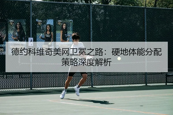 de-yue-ke-wei-qi-mei-wang-wei-mian-zhi-lu-ying-di-ti-neng-fen-pei-ce-lve-shen-du-jie-xi-3-468.jpg