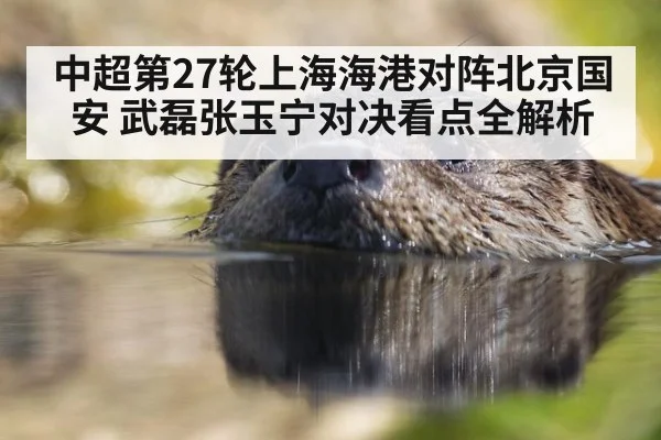 中超第27轮上海海港对阵北京国安 武磊张玉宁对决看点全解析